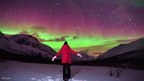 Northern Lights Chase