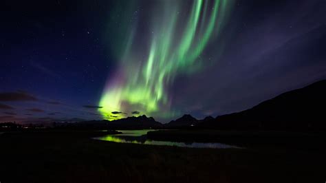 Northern Lights Night Experience