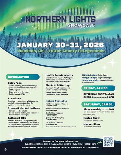 Northern Lights Showcase Image