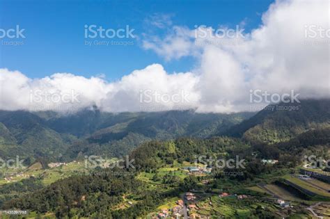 Madeira North Tour: A Candid Half-Day Adventure Review
