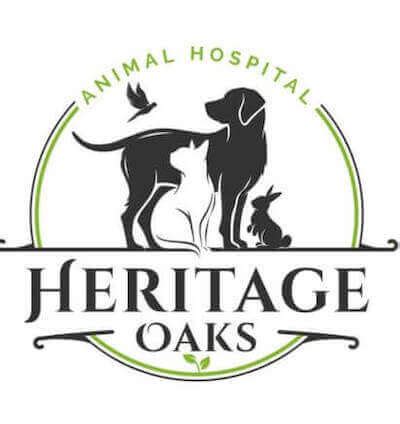 Superior Veterinary Care for Your Furry and Feathered Friends at Northern Oaks Bird And Animal Hospital