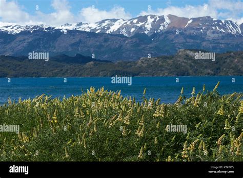 Detailed Review: Northern Patagonia’s Wonderful 6-Day Route