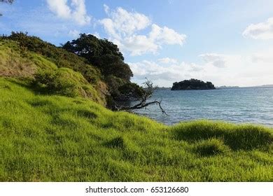 Northland Scenery