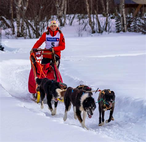 Norway Volunteer Program