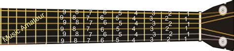 Notasi Tabulasi pada Alat Musik Gitar dan Bass