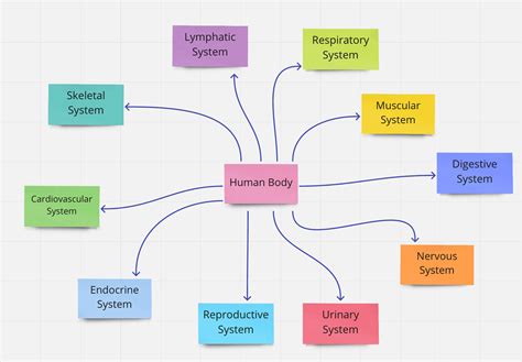 Mind Map Note Taking Teaching middle school english, Writing process