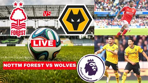 Nottingham Forest vs Wolves live stream: match preview