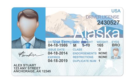 Novelty Ids Photoshop Template