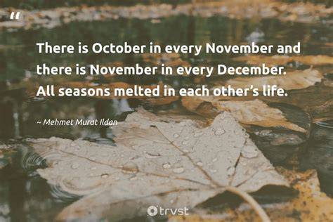November 4th 2019 Quotes