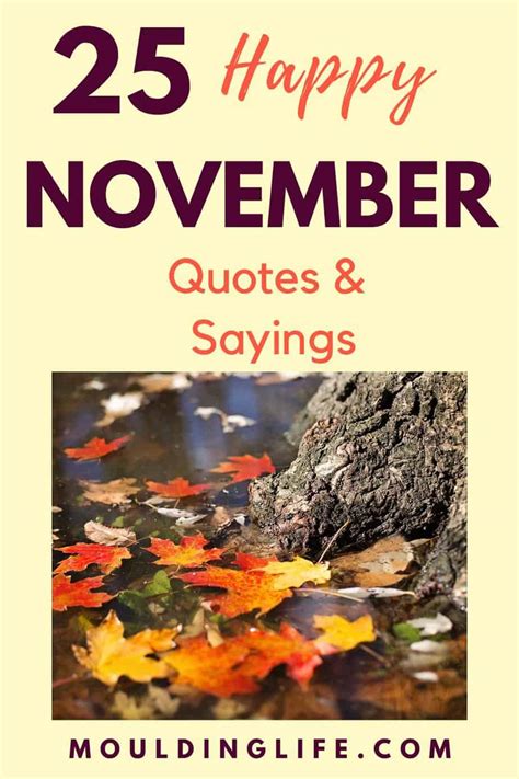 November 5 Inspirational Quotes