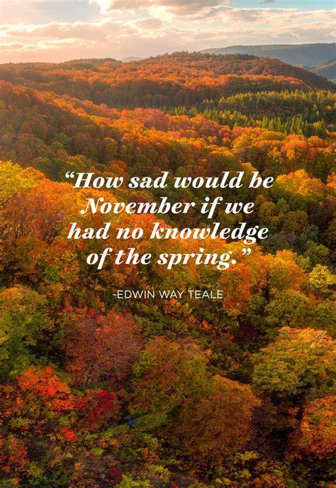 November Nature Quotes