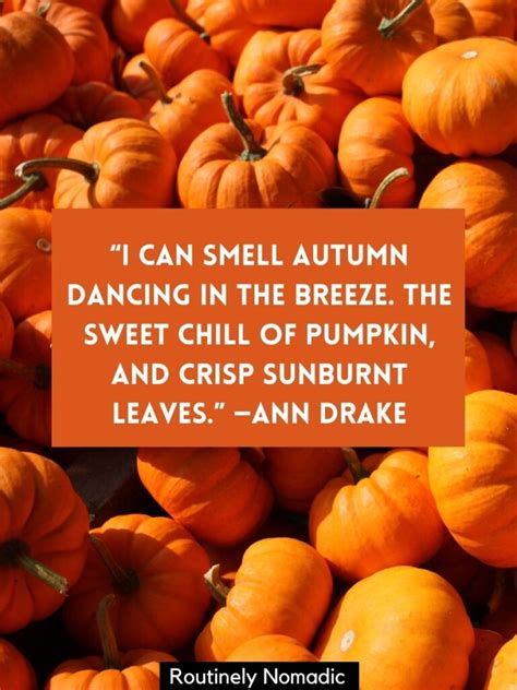 November Pumpkin Quotes