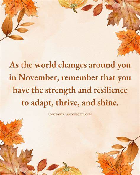 Reflection Quotes