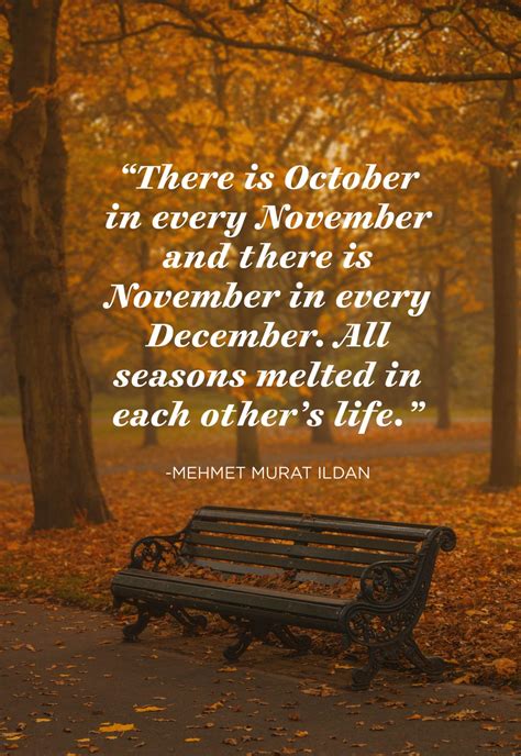 November Quotes For Facebook