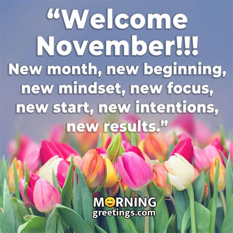 November Quotes New Month