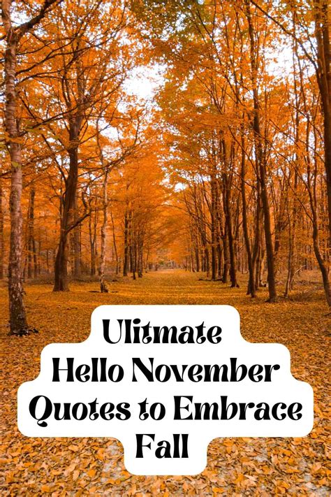 November Quotes Tumblr