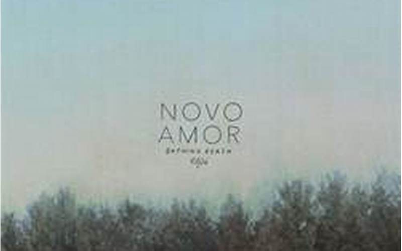 Novo Amor Album