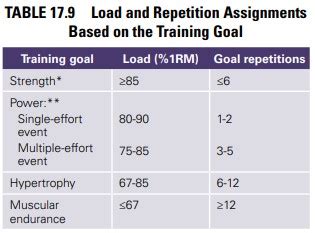 Nsca Rep Max Chart