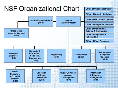 Nsf Organizational Chart