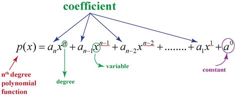 Effortlessly Solve Complex Equations with our Nth Degree Polynomial Calculator