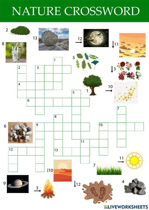 Number Series Found In Patterns In Nature Crossword