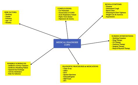 Nursing Concept Map Examples