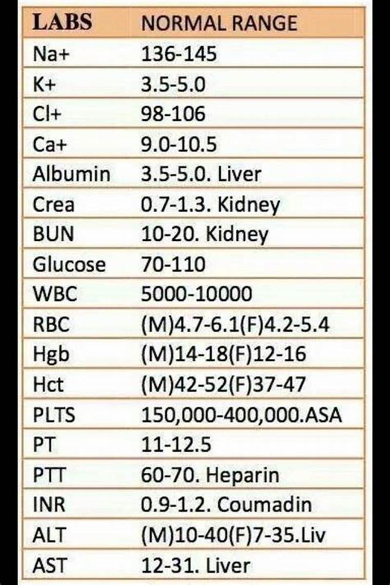 Nursing Normal Lab Values Chart Printable