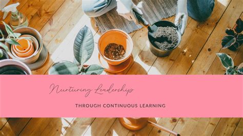 Nurturing Continuous Learning