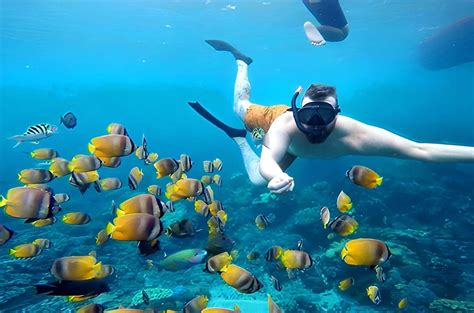 Nusa Penida snorkel y tour