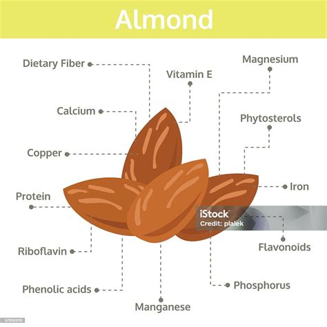 Nutrisi Almond