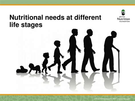Nutritional Balance For Different Life Stages