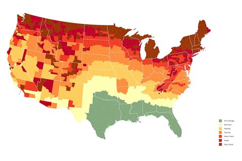 Ny Fall Foliage Prediction Map 2024