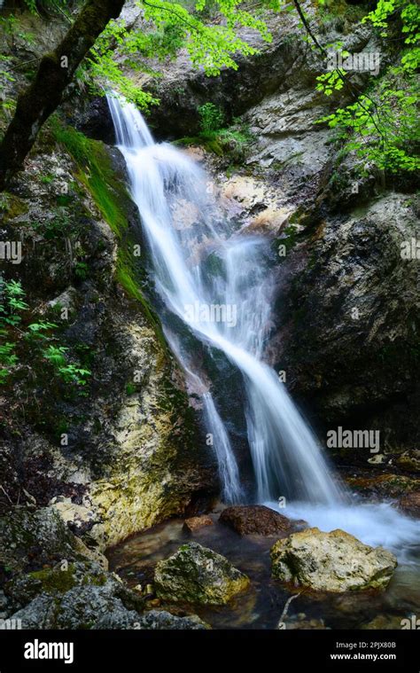 Nymphs Waterfalls hike
