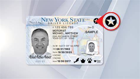 Nys License Lookup