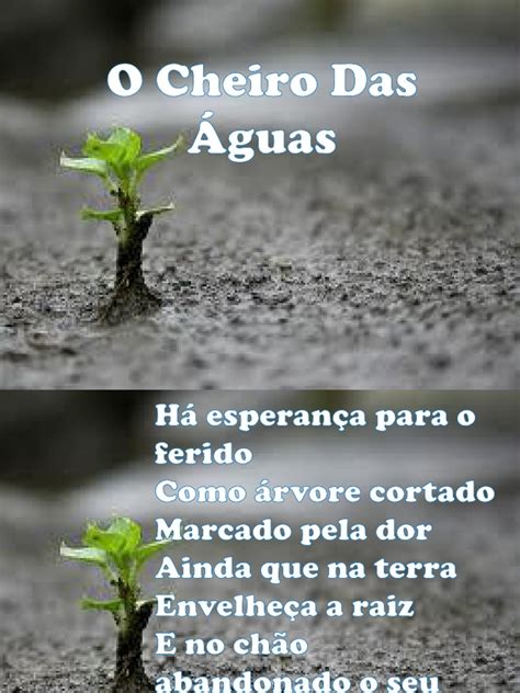 O COLO DO PAI: Meditação/Nadia Malta/AO CHEIRO DAS ÁGUAS BROTA A ESPERANÇA!