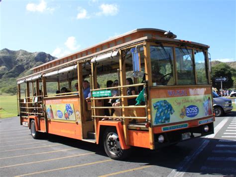 Oahu Sightseeing Bus Tour