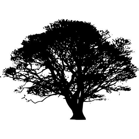 Oak Tree Template