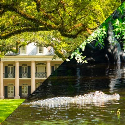 Oak Alley and Swamp Tour