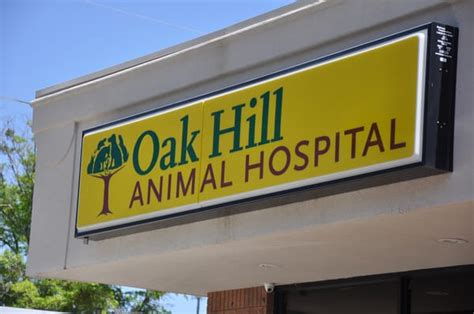 Compassionate Care for Your Beloved Pets: Discover Oak Hill Animal Hospital in Covington, GA!