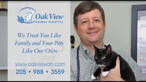 Expert Veterinary Care at Oak View Animal Hospital Pelham Al: Your Trusted Partner for Pet Health