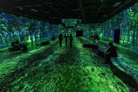 Oasis Immersion tickets