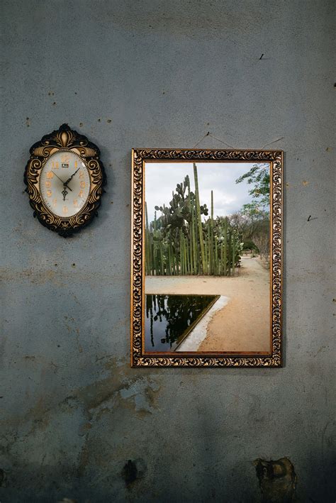 Oaxaca reflection