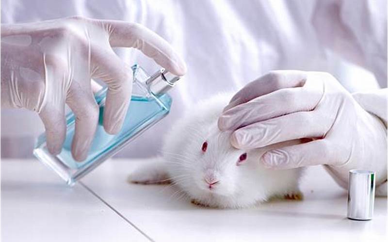 Obagi Animal Testing