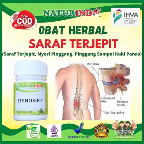 Obat Herbal Untuk Sakit Saraf