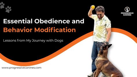 Obedience Training and Behavior Modification