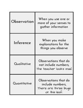 Observation vs. Inference Activity by Vicki Thompson | TpT