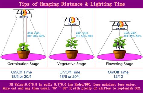 Observe the Grow Light Timing