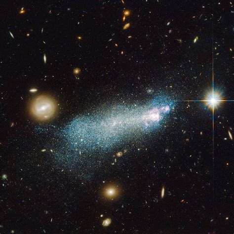 An image of a compact galaxy