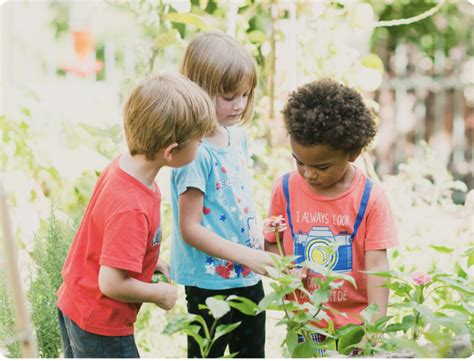 Observing and Interacting with the Environment
