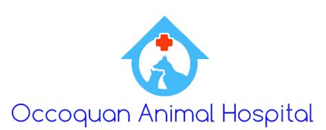 Expert Pet Care at Occoquan Animal Hospital: Your Trusted Veterinary Clinic in Woodbridge, VA
